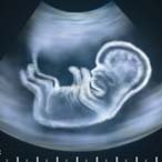 Calendrier grossesse : 23 semaines de grossesse